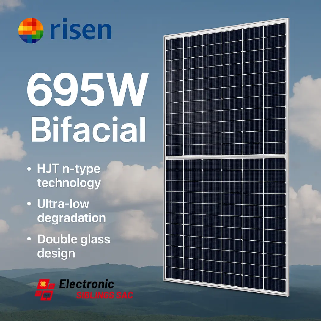 Panel Solar Risen 695W